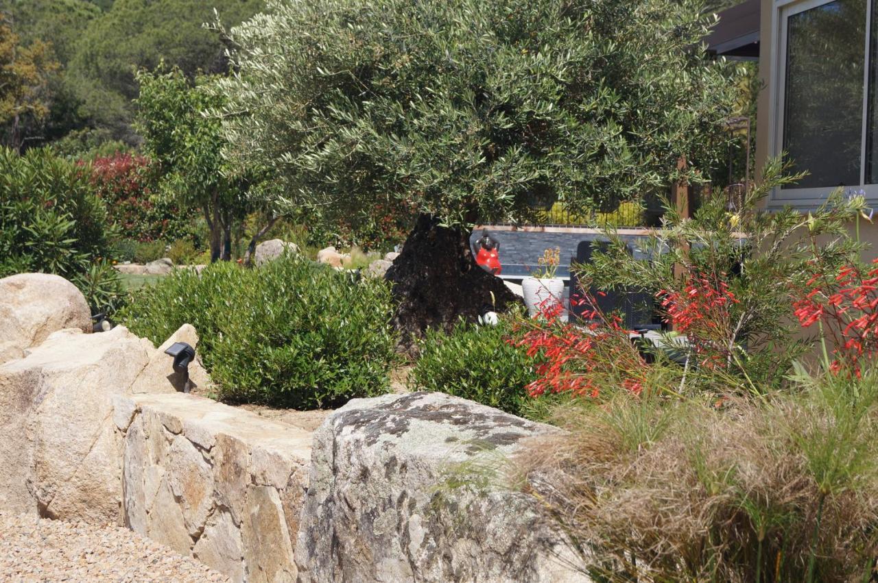 Les Jardins De Santa Giulia - Charmante Chambre D'Hote Porto-Vecchio  Zewnętrze zdjęcie
